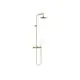 DORNBRACHT-Shower-Pipe-ohne-Handbrause-TARA-26633892-220-mm-Messing-gebuerstet-23kt-Gold-26633892-28 gallery number 1